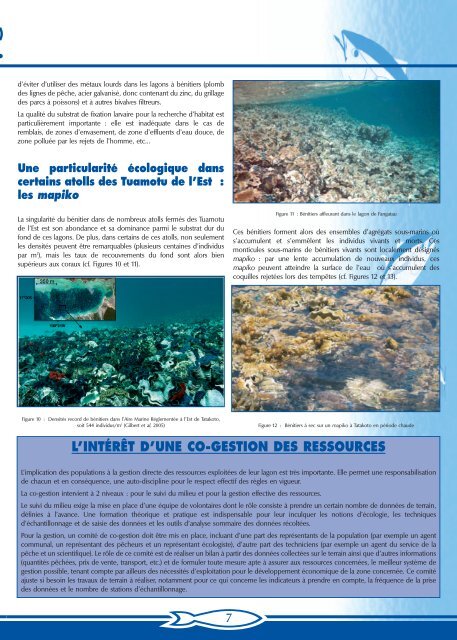 Numéro 19 - Site de la pêche