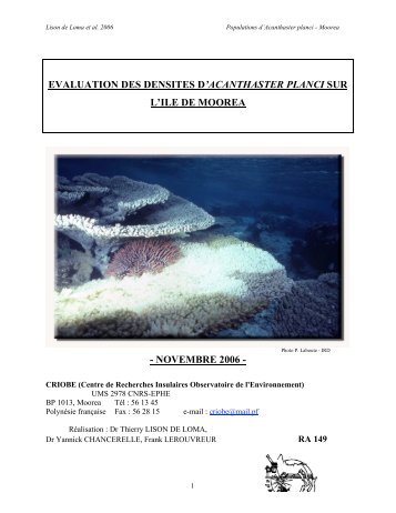 evaluation des densites d'acanthaster planci sur l'ile de moorea