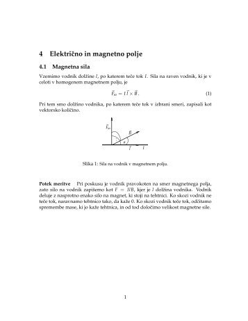 E4: Elektromagnetno polje