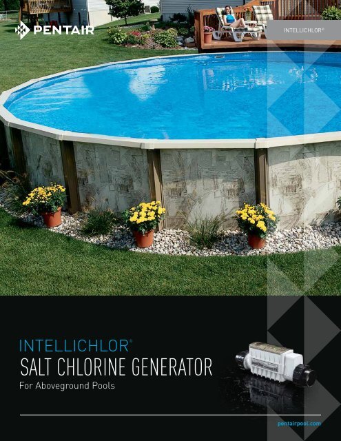 INTELLICHLOR SALT CHLORINE GENERATOR - Pentair