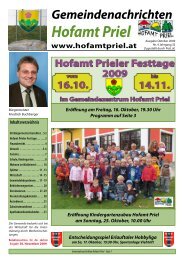 Datei herunterladen (3,96 MB) - .PDF - Gemeinde Hofamt Priel