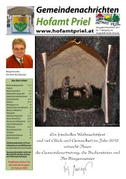 Datei herunterladen (8,18 MB) - .PDF - Gemeinde Hofamt Priel