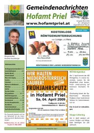 Gemeindezeitung 1/2009 (5,45 MB) - Gemeinde Hofamt Priel