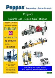 Program Natural Gas - Peppas Ltd Combustion - energy controls