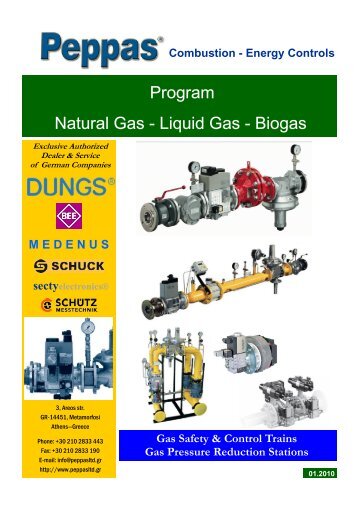 Program Natural Gas - Peppas Ltd Combustion - energy controls
