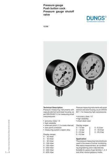 Pressure gauge Push button cock Pressure gauge shutoff valve