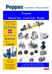 Program Natural Gas - Liquid Gas - Peppas Ltd Combustion ...