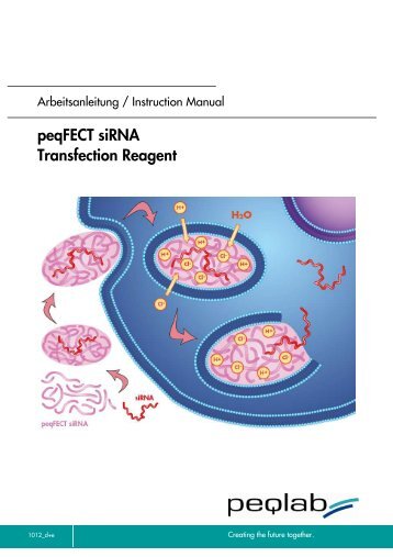 peqFECT siRNA_m_d+e_v1012 - PEQLAB Biotechnologie GmbH