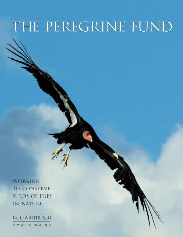 2003 Newsletter - The Peregrine Fund