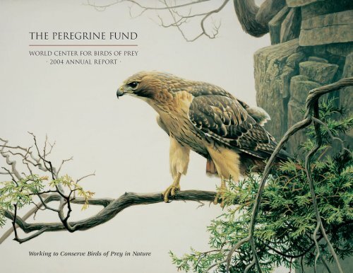 2004 Annual Report - The Peregrine Fund