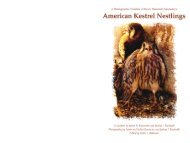 Photographic Atlas of American Kestrel Nestling Development