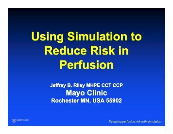 Simulation - Perfusion.com