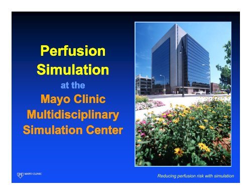 Simulation - Perfusion.com