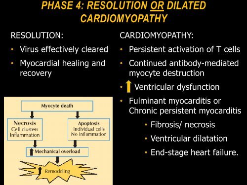 PowerPoint Presentation (PDF) - Perfusion.com