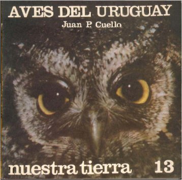 NÂº 13 - Aves del Uruguay - Juan P. Cuello - Publicaciones ...
