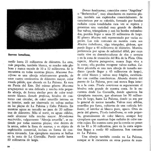 NÂº 2 - El borde del mar / Miguel Angel Klappenbach, VÃ­ctor Scarabino