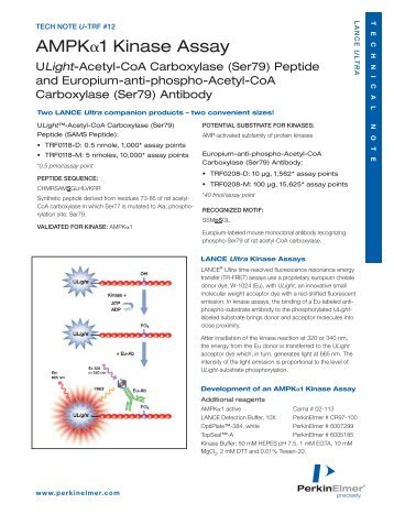 AMPK 1 Kinase Assay - PerkinElmer