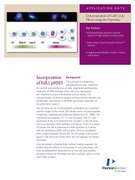 Determination of Cell Cycle Phase using the Operetta - PerkinElmer