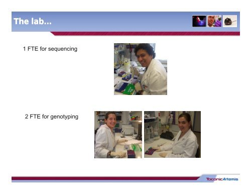 Eliminating manual steps in a high throughput ... - PerkinElmer