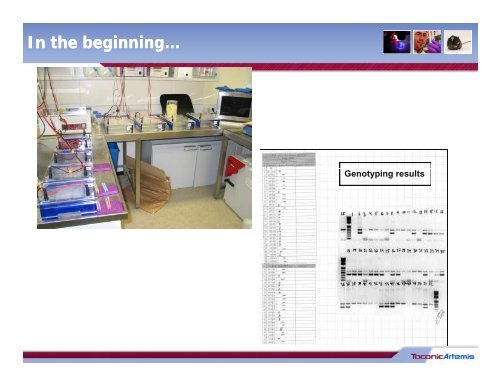 Eliminating manual steps in a high throughput ... - PerkinElmer