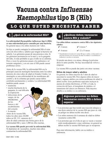 Vacuna contra Influenzae Haemophilus tipo B (Hib) - permanente.net