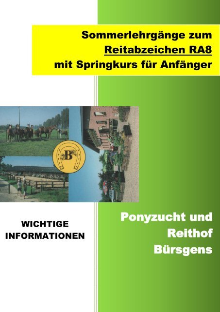 Sommerlehrgänge zum Reitabzeichen RA8 mit Springkurs für Anfänger