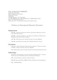 Professor in International Monetary Economics - Maastricht University