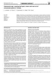 Calonectria spp. causing leaf spot, crown and root rot of ... - Persoonia