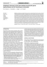 Polyphasic taxonomy of the heat resistant ascomycete ... - Persoonia