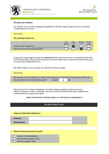 Fragebogen zur Schulabgangsbefragung 2012 - Perspektive ...