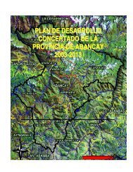 plan de desarrollo concertado de la provincia de abancay 2003-2013
