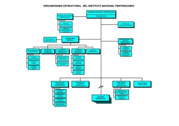 organigrama estructural del instituto nacional penitenciario