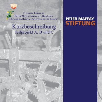 Kurzbeschreibung - Peter Maffay Stiftung