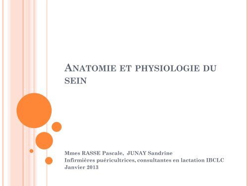 Anatomie du sein et physiologie de la lactation - Petit Fichier