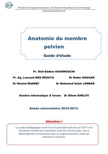 Anatomie du membre pelvien - Fichier PDF