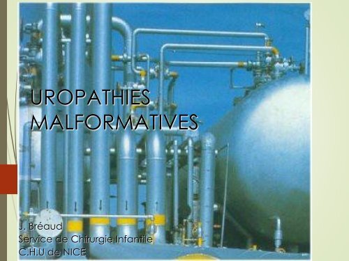 UROPATHIES MALFORMATIVES - Petit Fichier