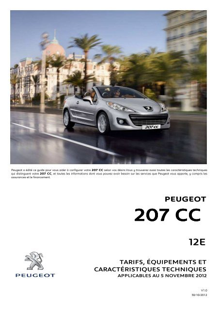 Personnalisation de la Peugeot 207 CC - Féline