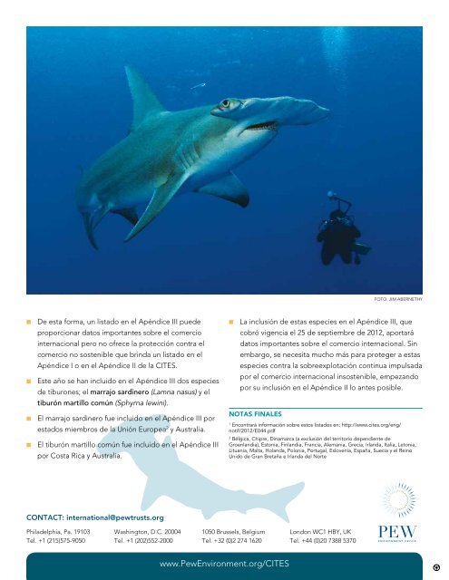 CITES 2013: Nuevos tiburones incluidos en el ApÃ©ndice III (PDF)