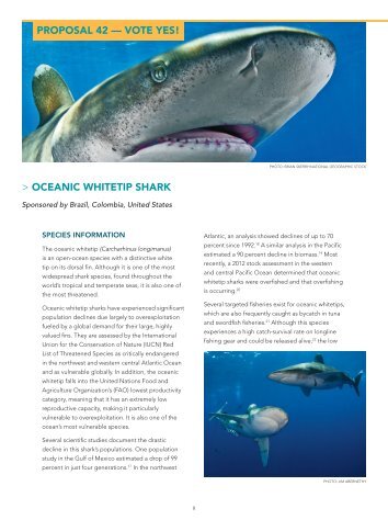 CITES 2013: Oceanic Whitetip Shark (PDF)