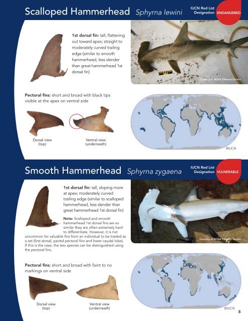 Shark Fin ID Guide - Pew Environment Group