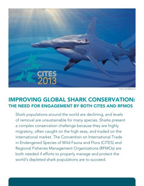 Improving Global Shark Conservation - Pew Environment Group