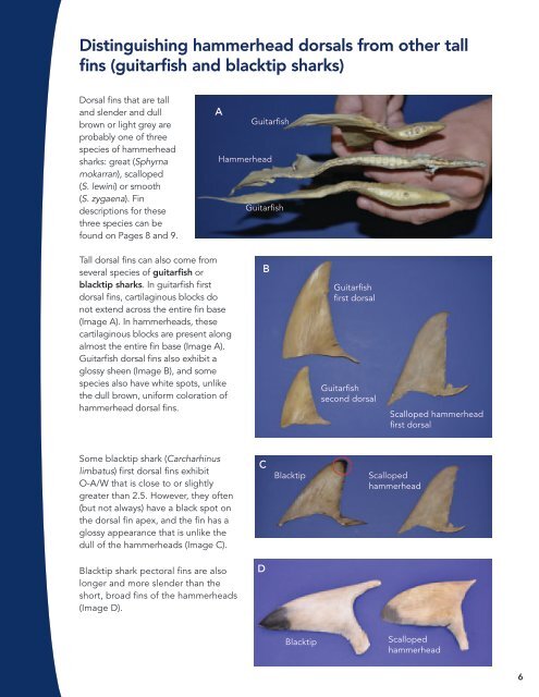 Shark Fin ID Guide - Pew Environment Group