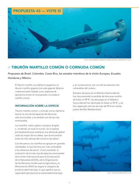 CITES TiburÃ³n Martillo (PDF)