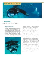 Manta Ray (PDF)