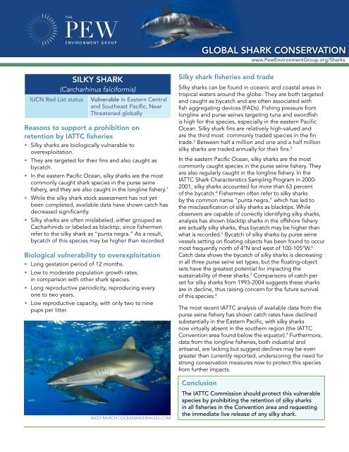 Silky Shark (PDF)