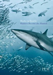 Sharks in Trouble - Hunters Become the Hunted