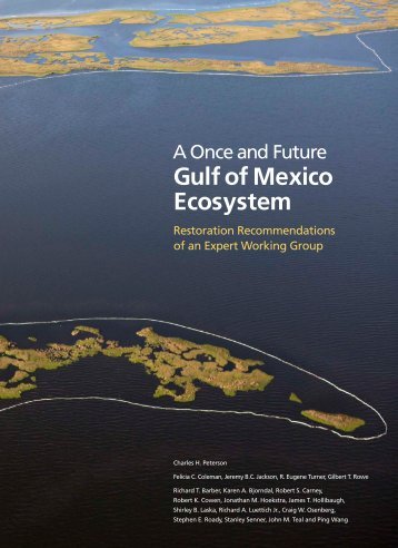 Gulf of Mexico Ecosystem - The Pew Charitable Trusts