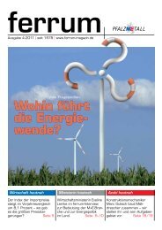 ferrum Ausgabe 4-2011 - PfalzMetall