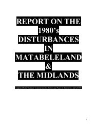 MatabelelandReport