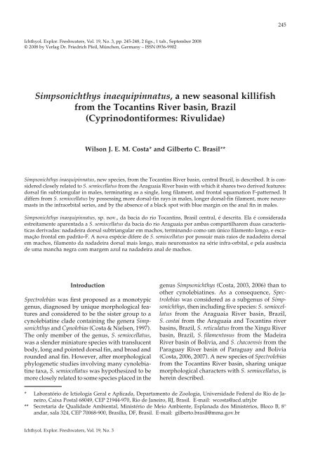 Simpsonichthys inaequipinnatus, a new seasonal killifish from the ...